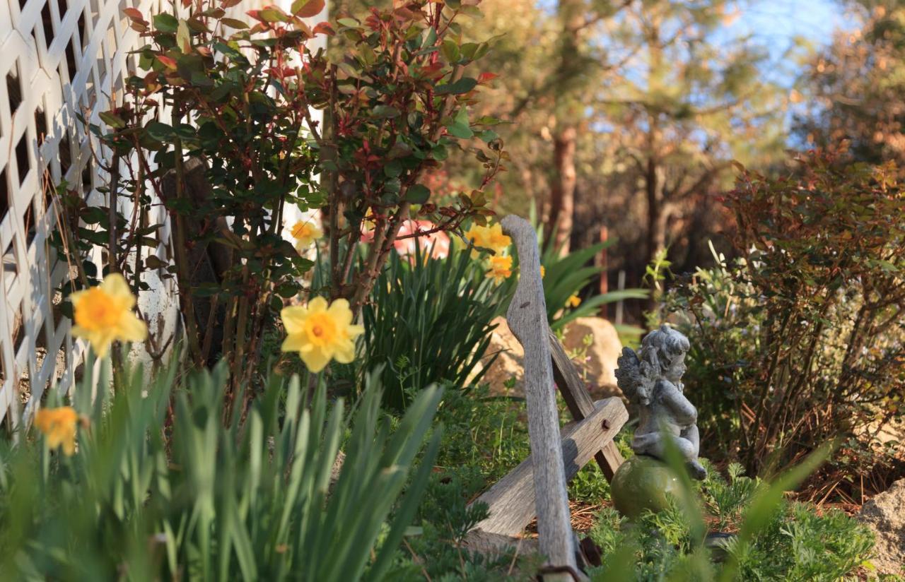 Blackberry Inn At Yosemite Buck Meadows Εξωτερικό φωτογραφία